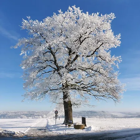 아파트 Premium Vulkaneifel