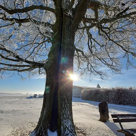 Premium Vulkaneifel 아파트 Lutzerath