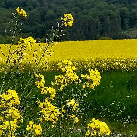 Premium Vulkaneifel 아파트 *