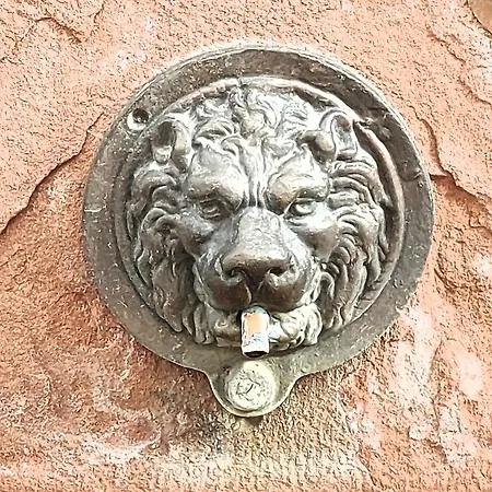 Premium Vulkaneifel *