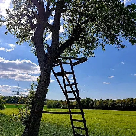 아파트 Premium Vulkaneifel *