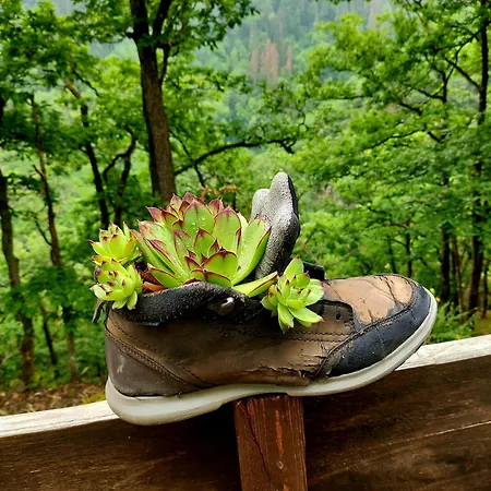 아파트 Premium Vulkaneifel