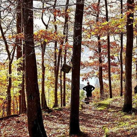 아파트 Premium Vulkaneifel Lutzerath