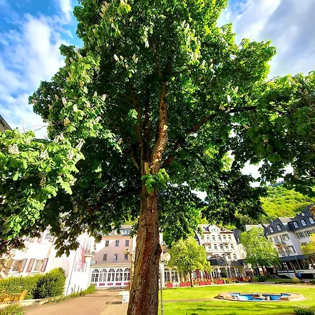 Premium Vulkaneifel * Lutzerath