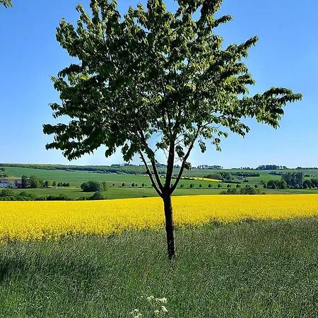 Premium Vulkaneifel Lutzerath