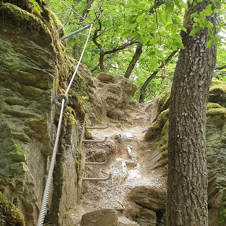 Premium Vulkaneifel Apartamento *