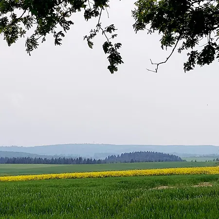 Premium Vulkaneifel 아파트 *