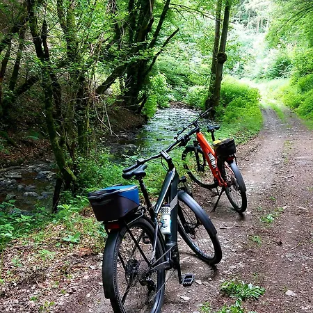 아파트 Premium Vulkaneifel *