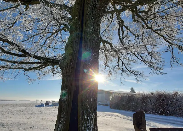 Premium Vulkaneifel Apartment Lutzerath
