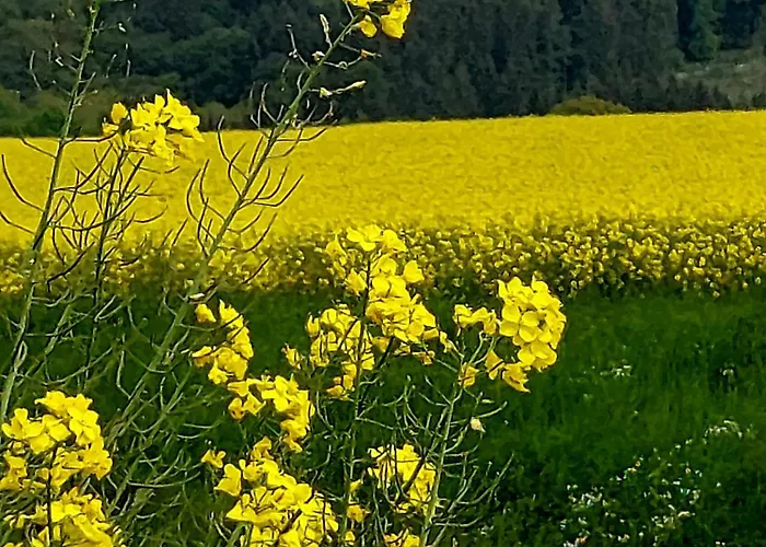 Premium Vulkaneifel Apartment *