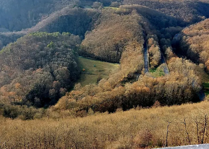 Premium Vulkaneifel * Lutzerath