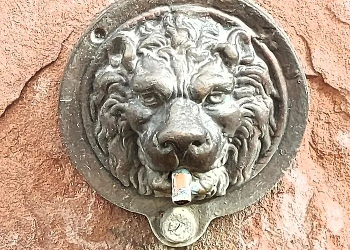 Premium Vulkaneifel *