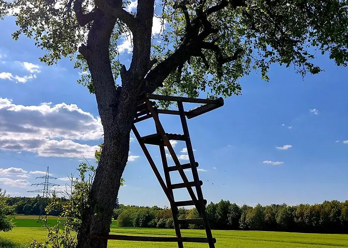 Apartment Premium Vulkaneifel *