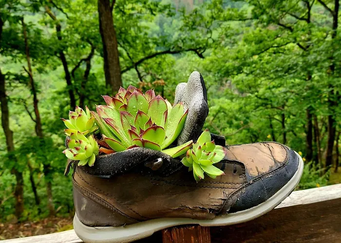 Apartment Premium Vulkaneifel