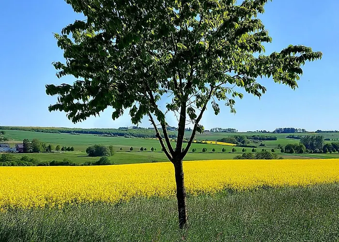 Premium Vulkaneifel Lutzerath