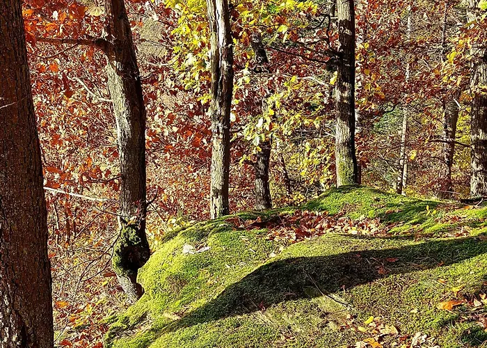 Apartment Premium Vulkaneifel *