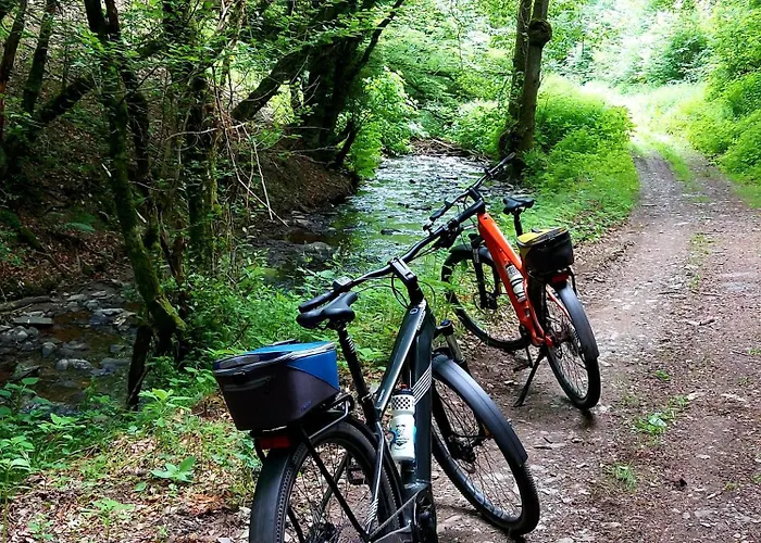 Apartment Premium Vulkaneifel *