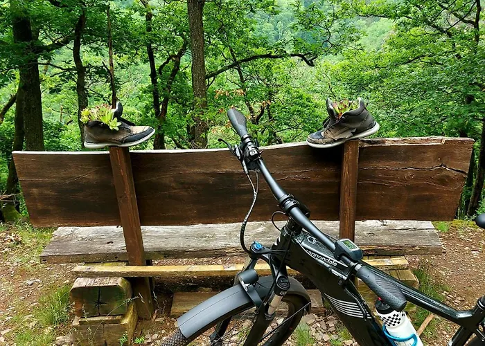 Premium Vulkaneifel *